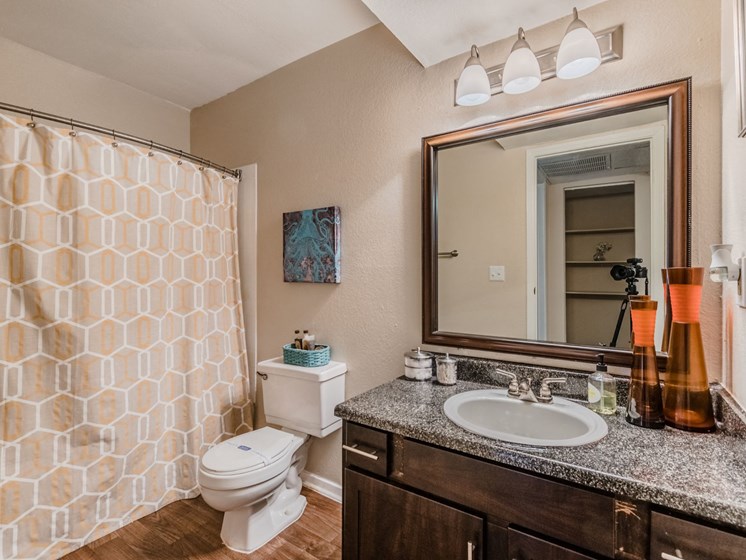 north dallas apartments for rent with a spacious bathroom